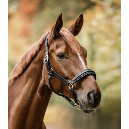 Cabezada de cuadra "S-LINE GLAMOUR" de WALDHAUSEN