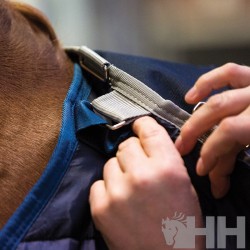 Bajomanta 300g "LINER" de HORSEWARE 2