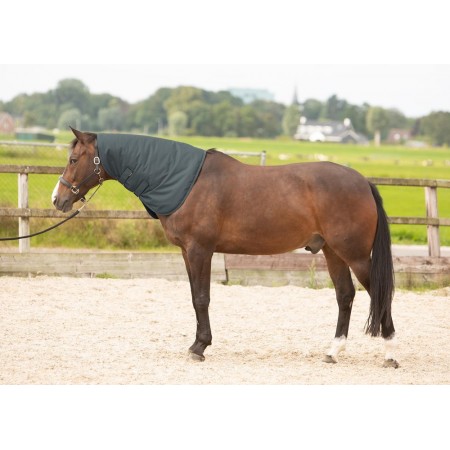 Cubrecuello "THOR" 200gr de HARRY'S HORSE