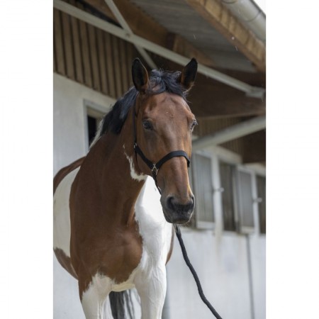 Comprar Cabezada Con Ramal Barato Para Caballo