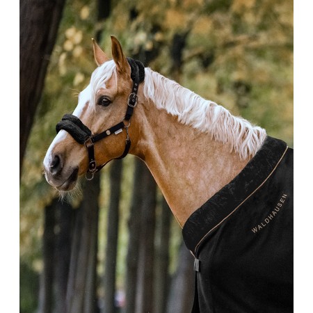 Conjunto de Manta Polar + Cabezada de Cuadra "Modern Rosé" de Waldhausen