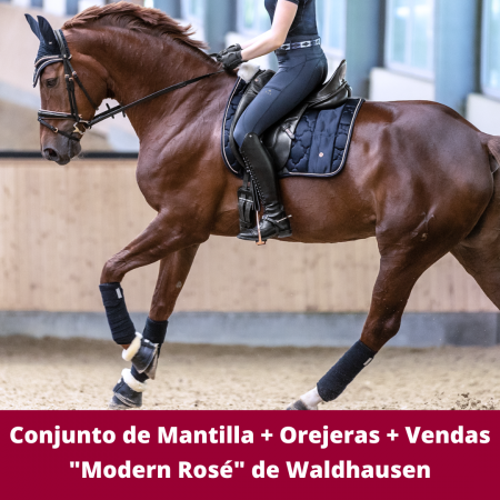 Conjunto de Mantilla + Orejeras + Vendas "Modern Rosé" de Waldhausen