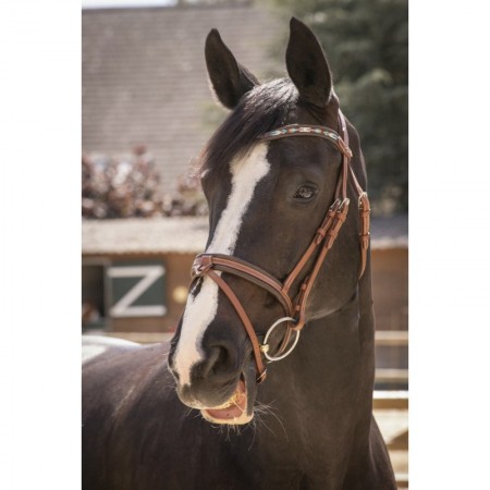 Cabezada de montar "SMOOTHIE PEARL"...