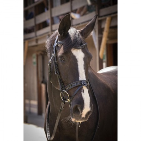 Cabezada de montar "SMOOTHIE" de...
