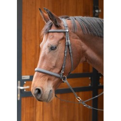 Cabezada de montar "EASY CARE" sin embocadura de HARRY'S HORSE 2