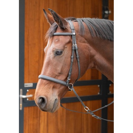 Cabezada de montar "EASY CARE" sin embocadura de HARRY'S HORSE
