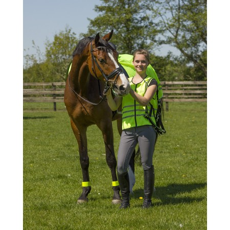 Vendas reflectantes para caballo de QHP