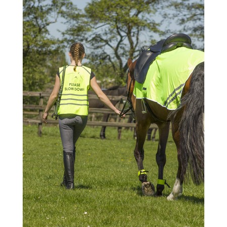 Vendas reflectantes para caballo de QHP