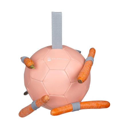 Pelota de zanahorias de WALDHAUSEN