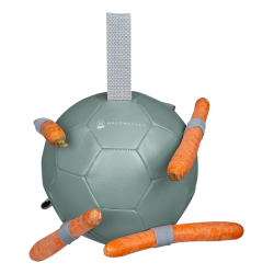 Pelota de zanahorias de WALDHAUSEN