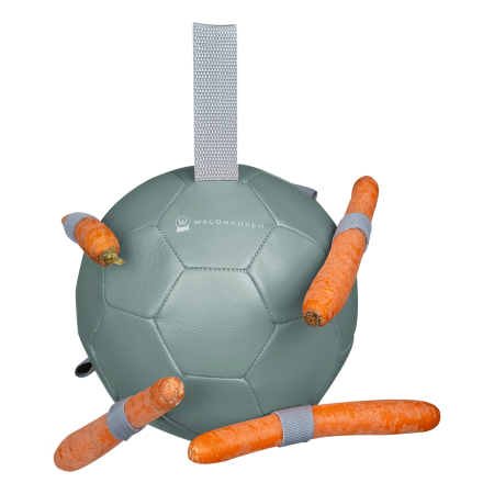 Pelota de zanahorias de WALDHAUSEN