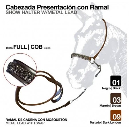 Cabezada de presentación con ramal de...