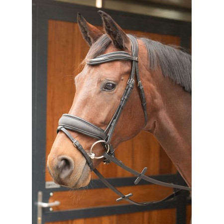 Cabezada de montar "BOMBASTIC" de HARRY'S HORSE
