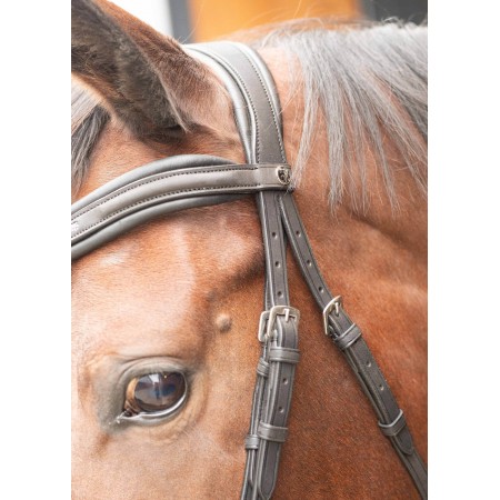 Cabezada de montar "BOMBASTIC" de HARRY'S HORSE