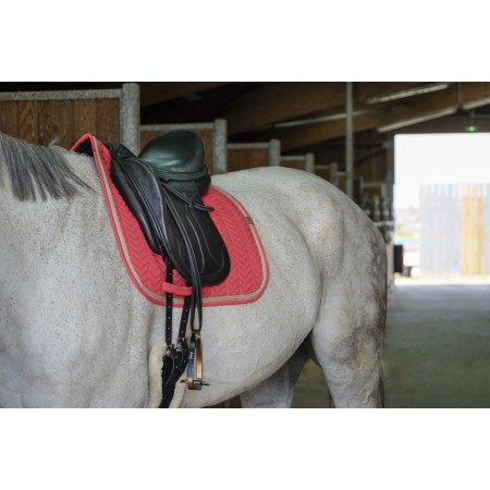 Mantilla "SOFTY" de Equithème