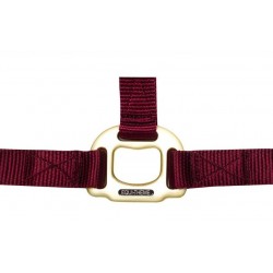 Cabezada de cuadra de nylon con hebillas satinado dorado de EQUITHÈME