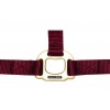 Cabezada de cuadra de nylon con hebillas satinado dorado de EQUITHÈME
