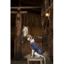 Manta para perro con acolchado 220 g Equi-Thème 600 D 2
