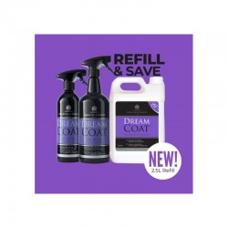 Dreamcoat Brillo Final Spray de CARR&DAY