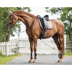 Protectores delanteros de QHP