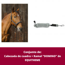 Conjunto de Cabezada de...