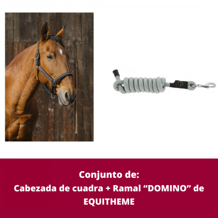 Conjunto de Cabezada de cuadra + Ramal "DOMINO" de EQUITHEME