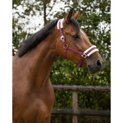 Cabezada de Cuadra "CALI" de Q-ESSENTIALS
