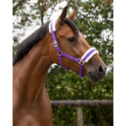 Cabezada de Cuadra "CALI" de Q-ESSENTIALS
