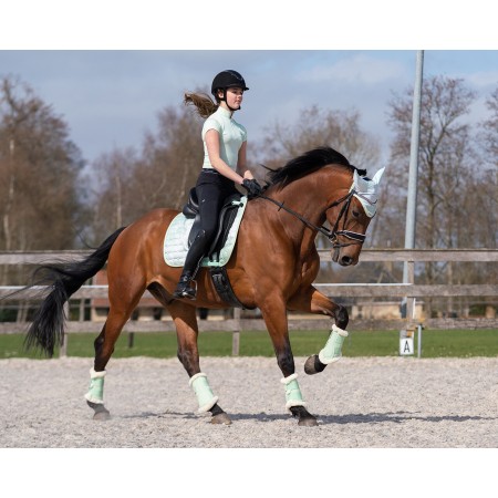 Leggings de equitación "EDEN" Full Grip de QHP