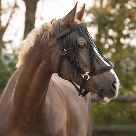 Mosquero para Caballo y Poni Repelente de Insectos