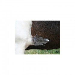 Vaselina vegetal 100% natural "NATJELY" de ANIMADERM 2