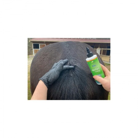 Loción para Dermatitis Estival del caballo "DERFEN ORIGINAL" de ANIMADERM