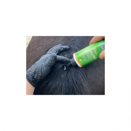 Loción para Dermatitis Estival del caballo "DERFEN ORIGINAL" de ANIMADERM