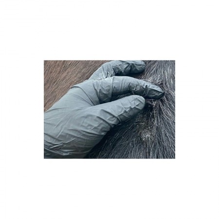Loción para Dermatitis Estival del caballo "DERFEN ORIGINAL" de ANIMADERM