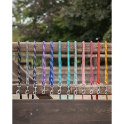 Ramal "Color" de QHP 2