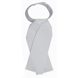 Plastrón de Concurso de...