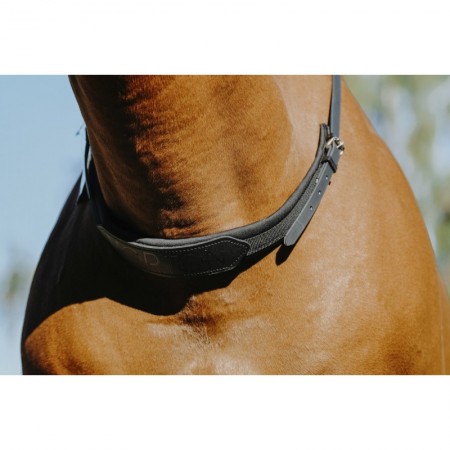 Collar de cuello de NORTON