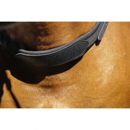 Collar de cuello de NORTON