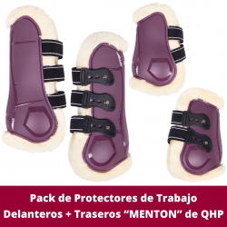Conjunto de Protectores de...