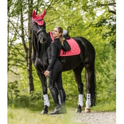 Orejeras "Elegant" de Waldhausen