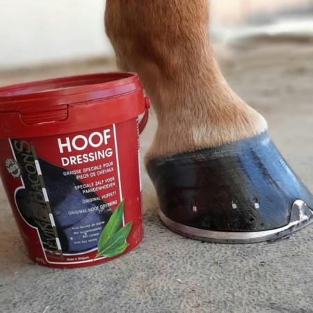 Grasa para cascos "HOOF DRESSING" de KEVIN BACON'S