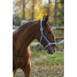 Cabezada de Cuadra "SPRING" de Equithème 2