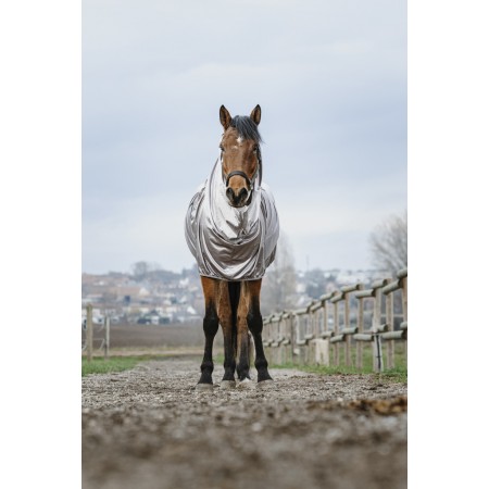 Manta Anti-Eczema de Riding World