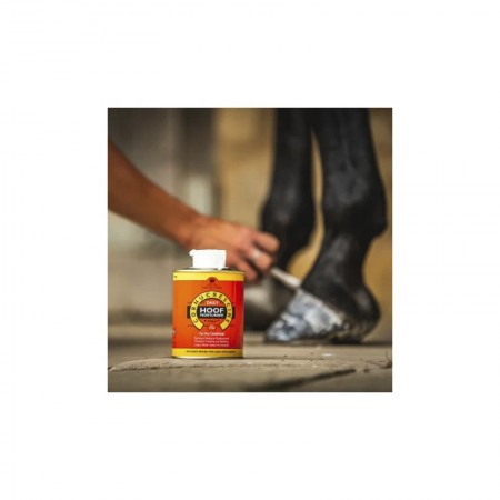 Comprar Pomada para Cascos Conucrescine Moisturiser de CARR&DAY