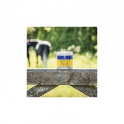 Pomada antibacterial PROTECTION PLUS 500g de CARR&DAY 2