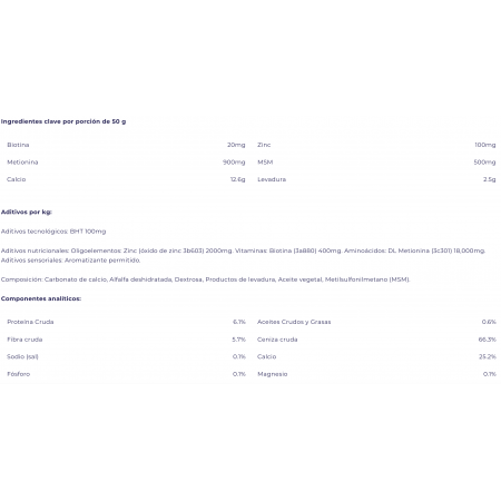 Biotin Xtra Powder de Equine America