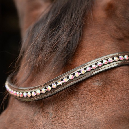 Cabezada de montar "CHIQUE" de HARRY'S HORSE
