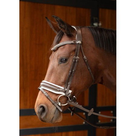 Cabezada de montar "CHIQUE" de HARRY'S HORSE