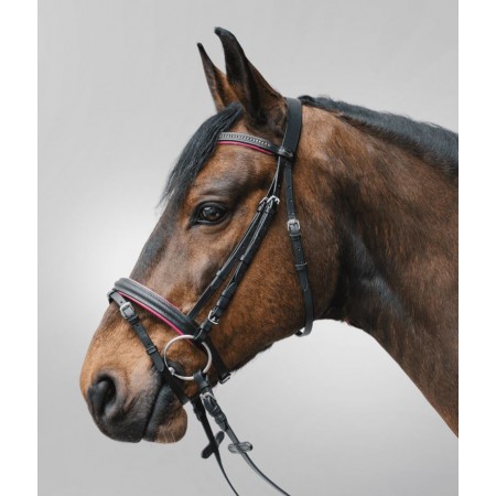 Brida "DIAMOND" de STAR