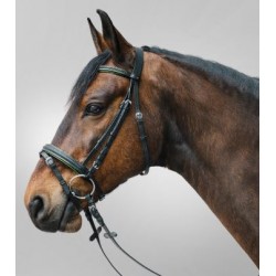 Brida "DIAMOND" de STAR